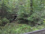 mdrf04_61.jpg