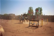 ontrf98_59.jpg