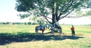 ontrf99_15.jpg