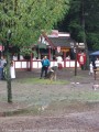 ontrf04_043.jpg