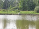 ontrf04_074.jpg